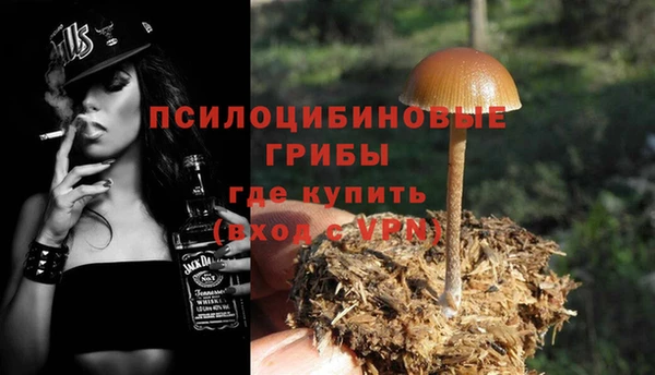 ECSTASY Мегион