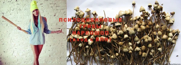 дживик Медвежьегорск