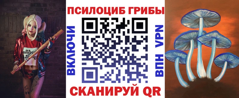 Галлюциногенные грибы ЛСД где продают Заречный