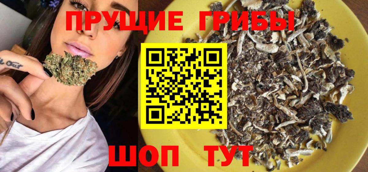 Псилоцибиновые грибы Psilocybe  Вход с VPN  закладки  Заречный 